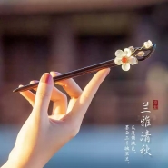 Ancient Chinese Style Elegant Red agate beads Hair Stick for Women Girls Classical Wooden Hairpin Chinese Hair Accessories Jewelry