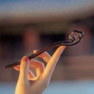 Ancient Chinese Style Elegant Ebony Hair Stick for Women Girls Classical Wooden Hairpin Chinese - Style Hair Buns Jewelry